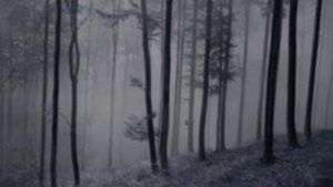 undefined Images
